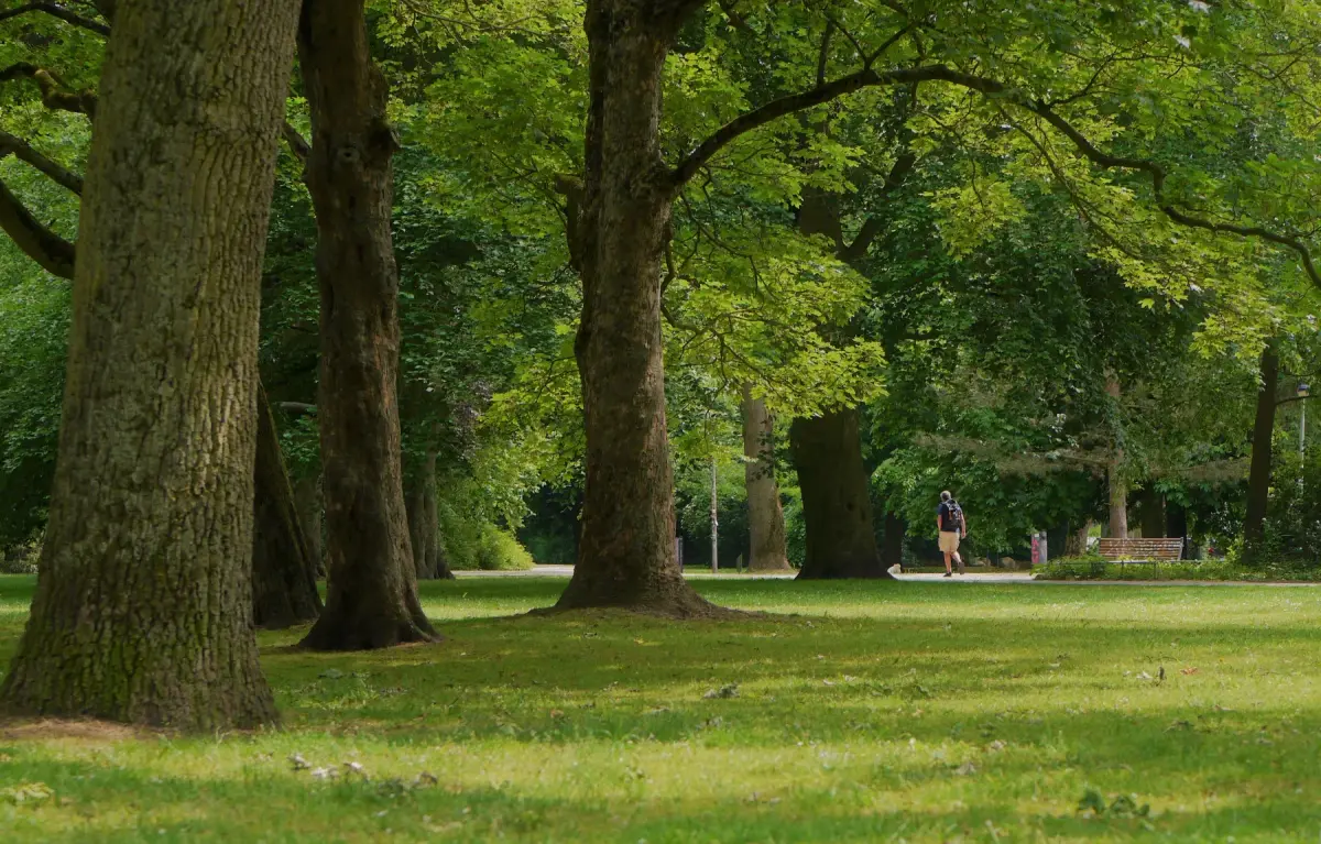 Estate Planning Attorney Near Little Econ Greenway
